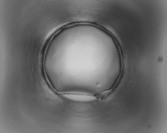 X0000112880983200909181844