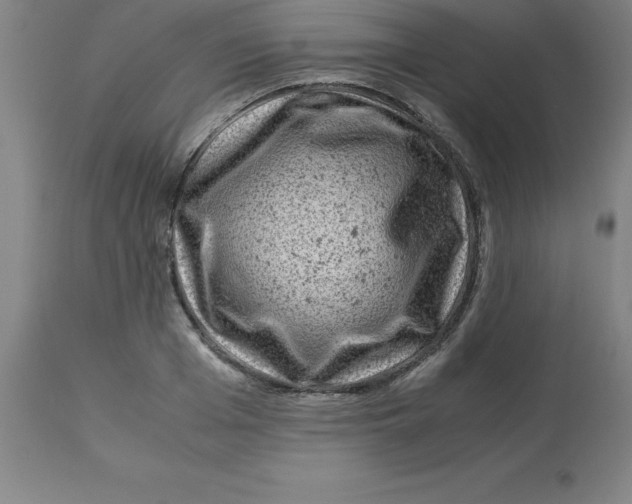 X0000112880985200909181844