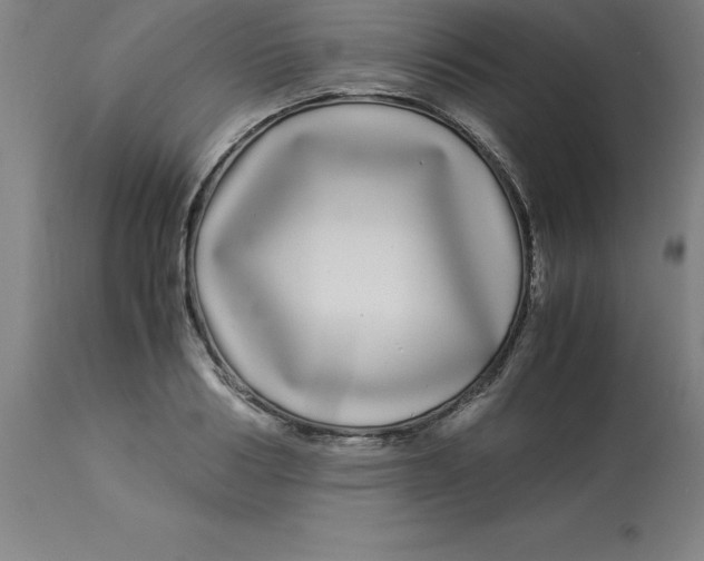 X0000112880986200909181844