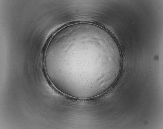 X0000112880987200909181844