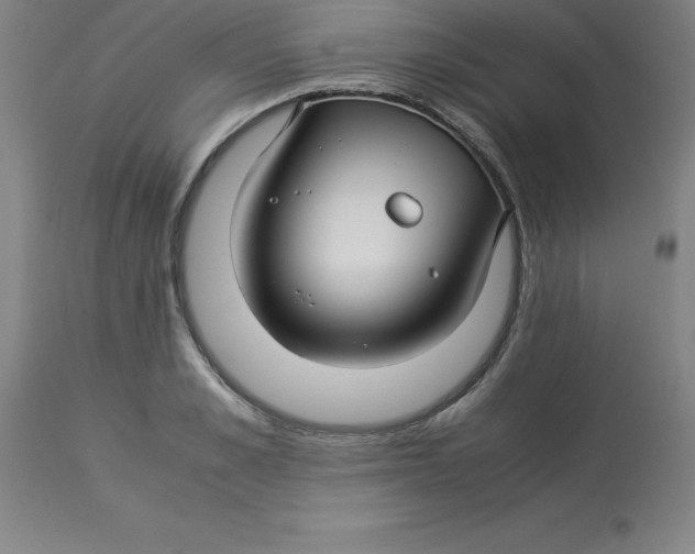 X0000112880989200909181844