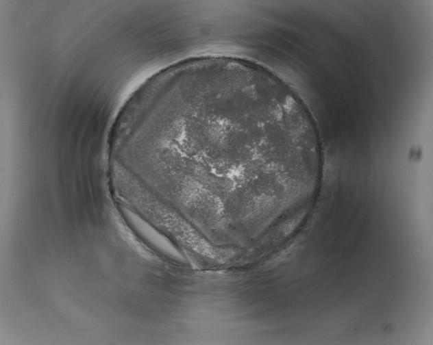 X0000112880990200909181844