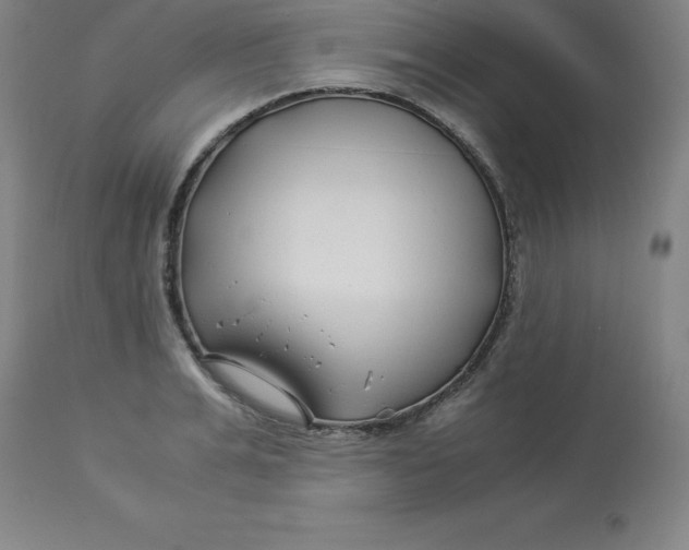 X0000112880991200909181844