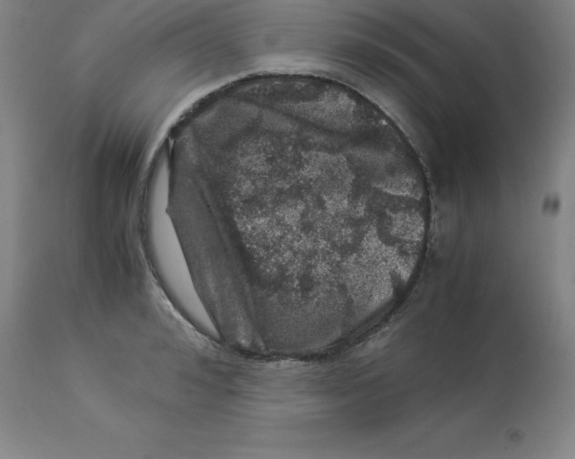 X0000112880992200909181844