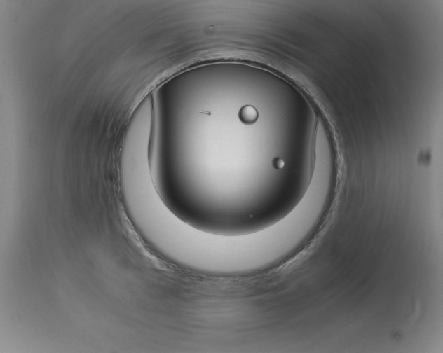 X0000112880993200909181844