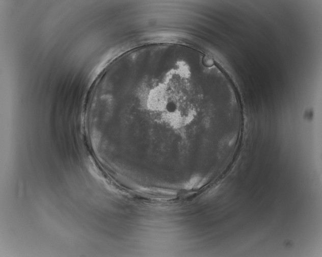 X0000112880994200909181844