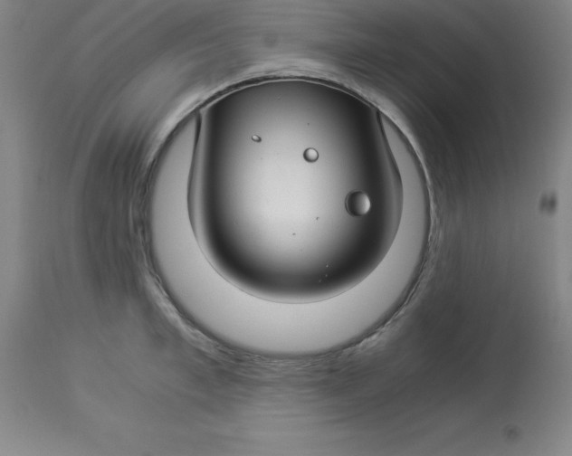 X0000112880997200909181844