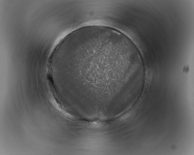 X0000112880998200909181844