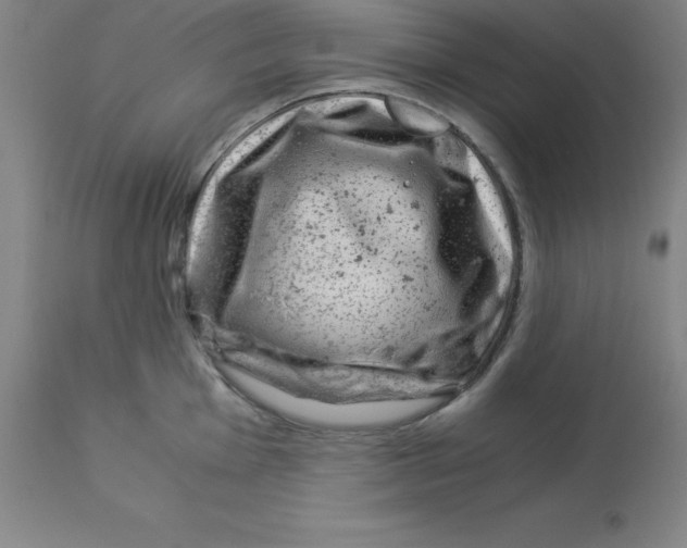 X0000112881001200909181844