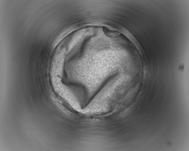 X0000112881002200909181844