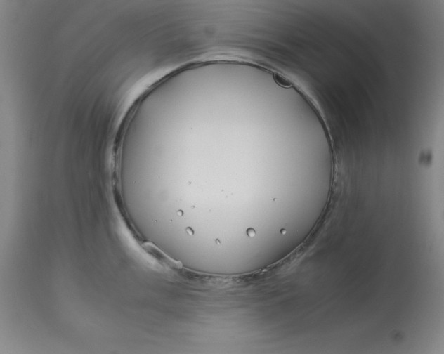 X0000112881003200909181844