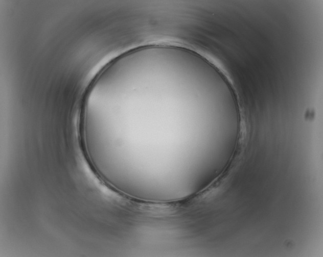 X0000112881007200909181844