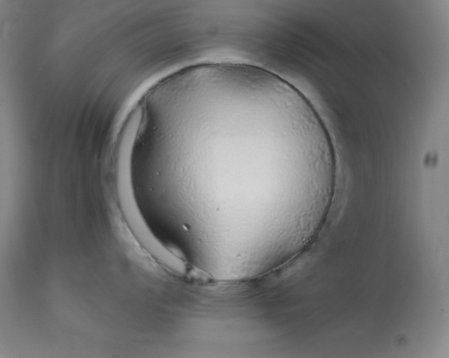 X0000112881008200909181844