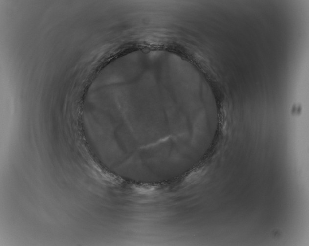 X0000112881009200909181843