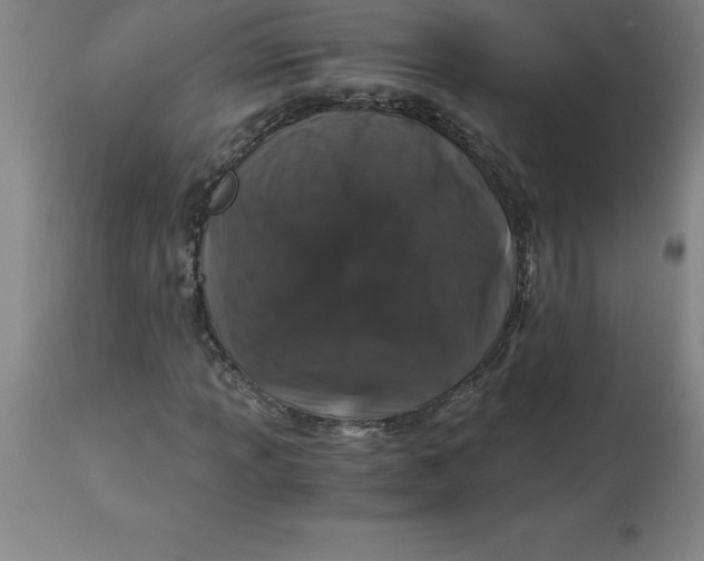 X0000112881013200909181843