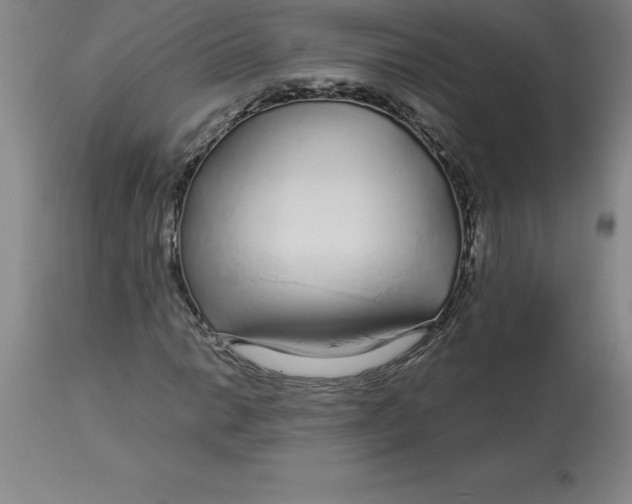 X0000112881014200909181843