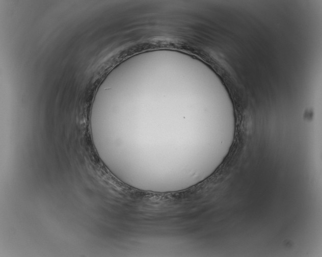 X0000112881015200909181843