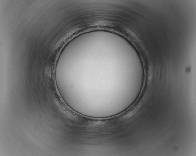 X0000112881017200909181843