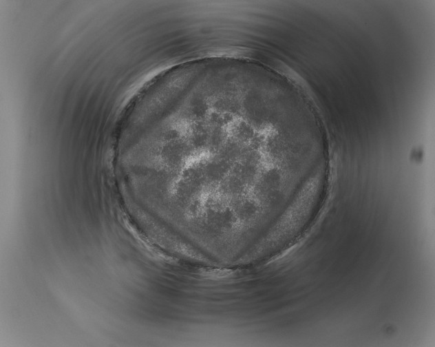 X0000112881019200909181843