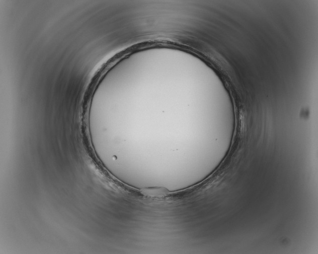 X0000112881020200909181843