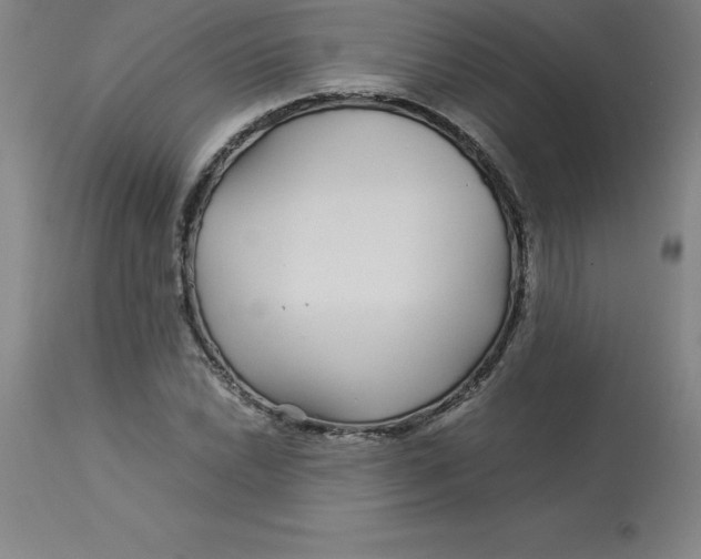 X0000112881022200909181843