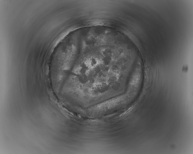 X0000112881023200909181843