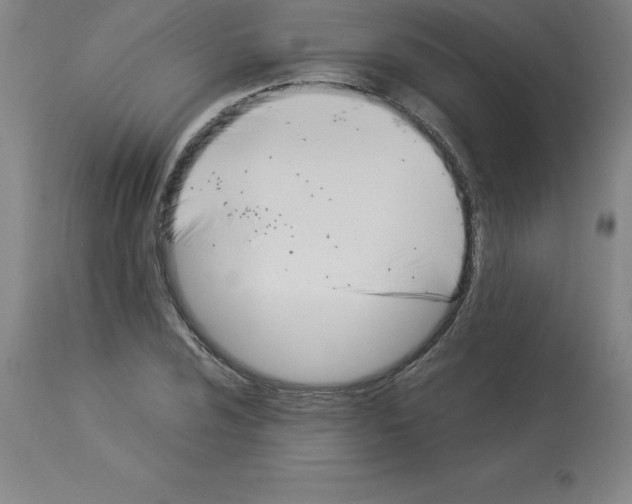 X0000112881024200909181843