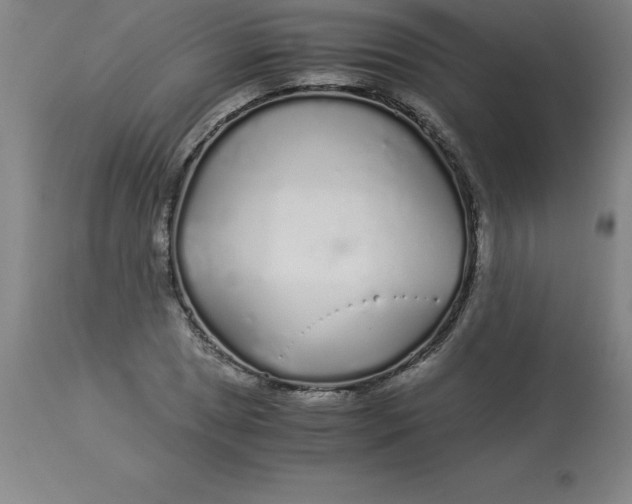 X0000112881025200909181843