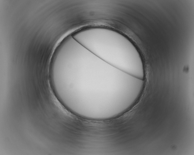 X0000112881028200909181843