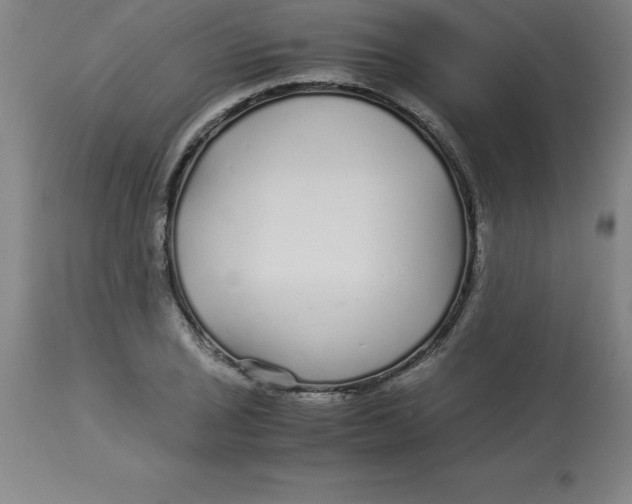 X0000112881029200909181843