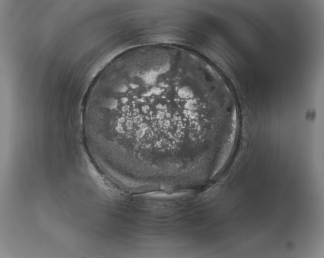 X0000112881031200909181843