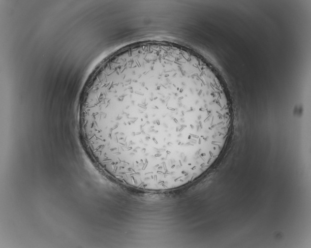 X0000112881032200909181843