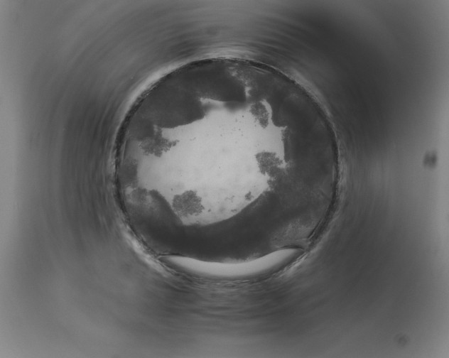 X0000112881037200909181844