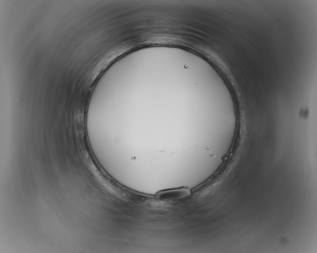 X0000112881041200909181844