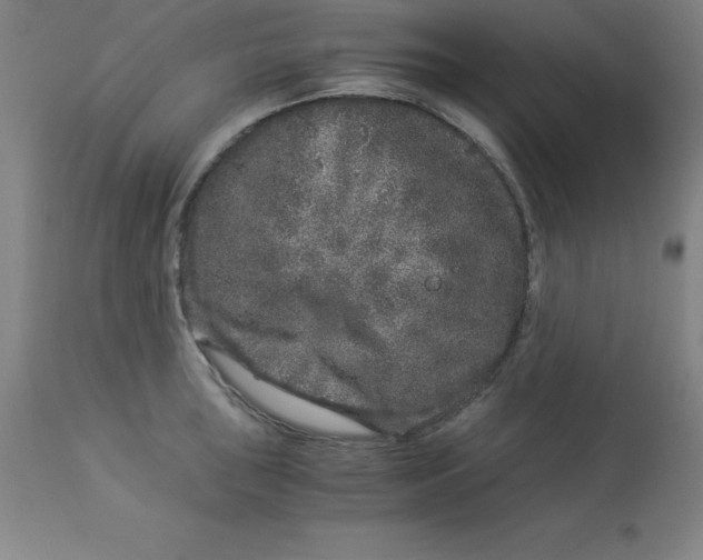 X0000112881043200909181844