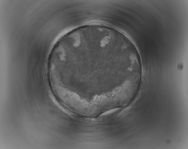 X0000112881045200909181844