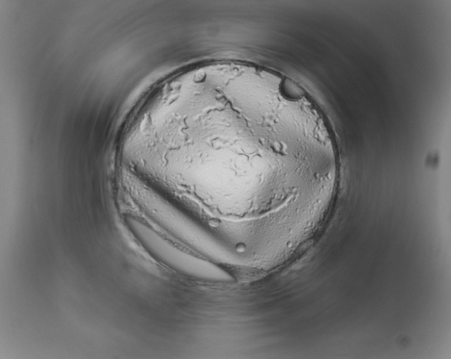 X0000112881048200909181844