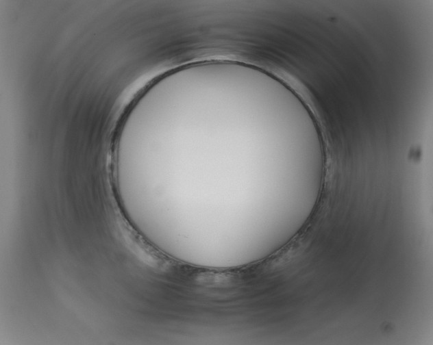 X0000112881051200909181844