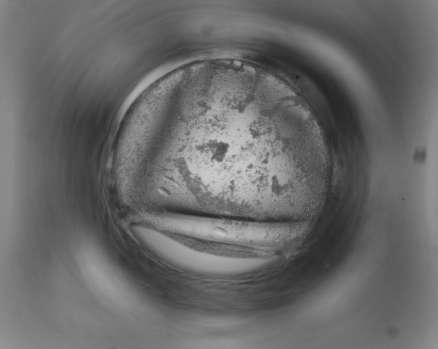 X0000112881052200909181844