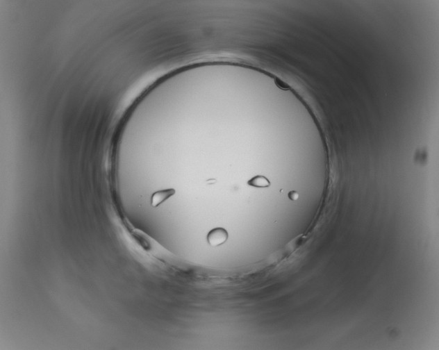 X0000112881054200909181844