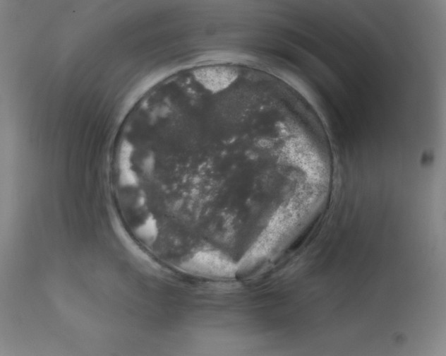 X0000112881055200909181844