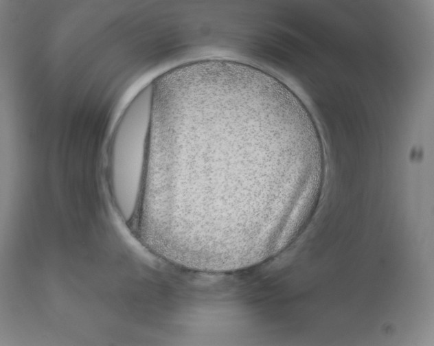 X0000112881056200909181844