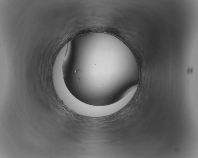 X0000112881057200909181843