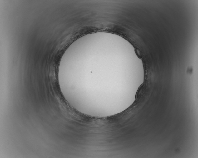 X0000112881058200909181843