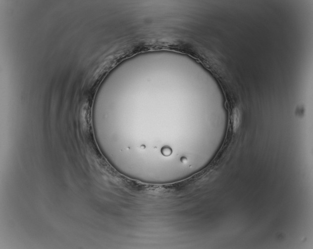 X0000112881059200909181843