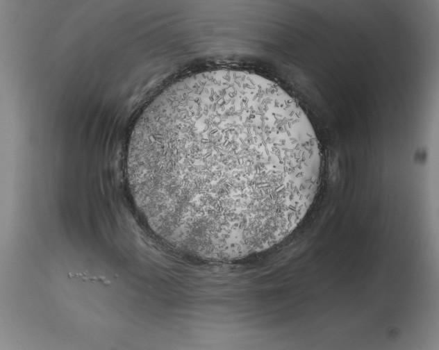 X0000112881060200909181843
