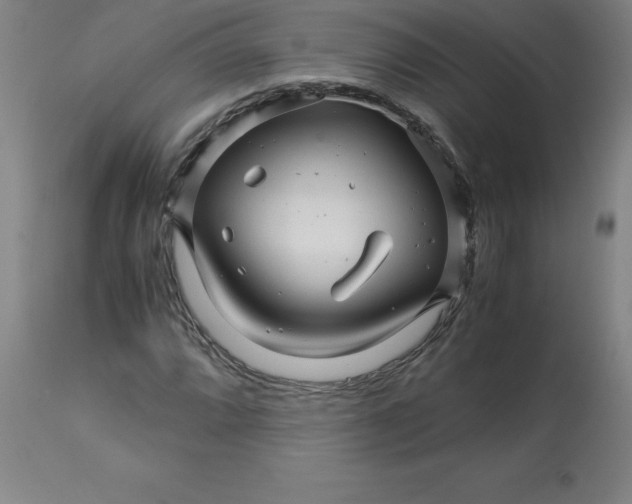 X0000112881064200909181843