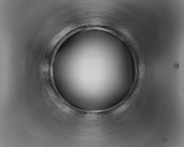 X0000112881065200909181843