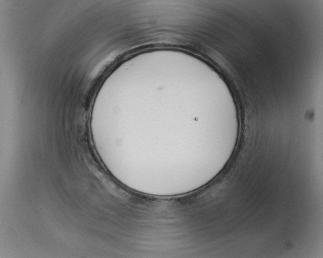 X0000112881067200909181843