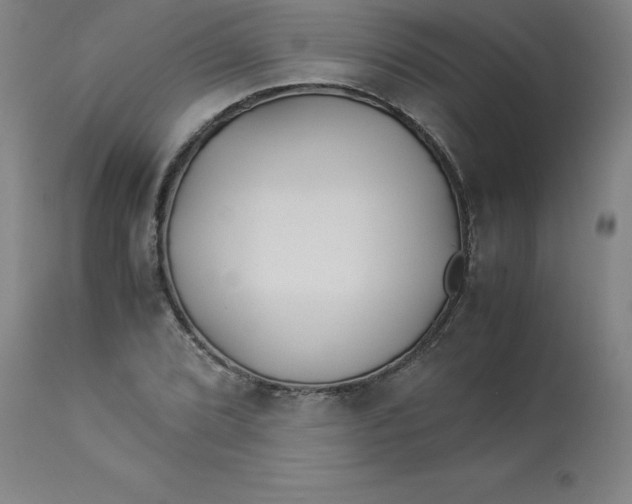 X0000112881072200909181843